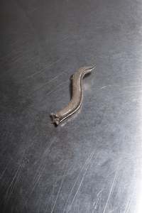 Object: Slug - Sterling Silver - OBJT-5 – OBJECT