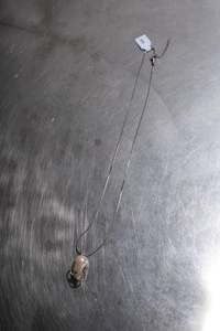 Baroque Pearl Piercing Necklace 3 (Snake Chain) - White - SEAPUNKS.XX