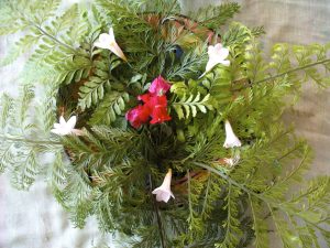 Products: Spring Attunement