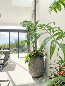 Pots Planters: Lava U Pot