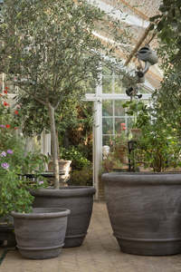 Pots Planters: Campana