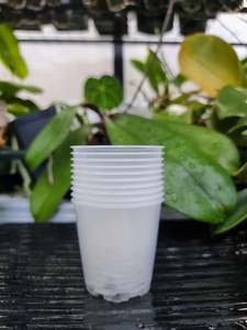 Pots Planters: Clear mini pots (6cm)