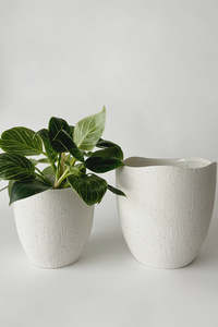 Pots Planters: Rhea
