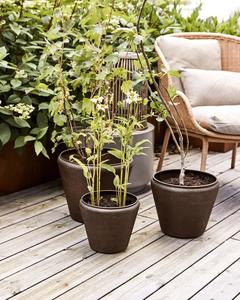 Pots Planters: Funnel planter - Antique brown