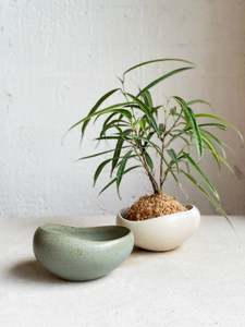 Pots Planters: Fort Bowl