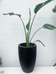 Pots Planters: Denton Crucible Planter