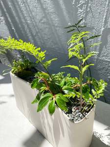 Haan Planter