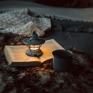 Homewares: Edison Mini Lantern