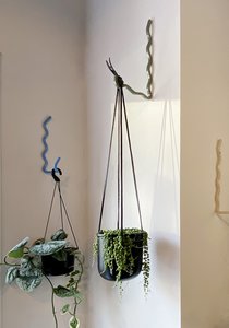 Wiggle Plant Hook