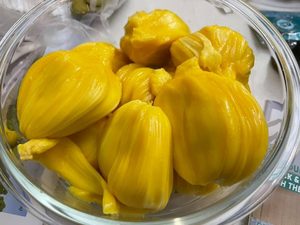 Jackfruit 'Gold Nugget' Seedling (Medium)