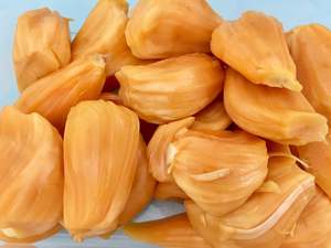 Jackfruit 'Amber' Seedling