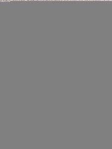 Alocasia Dragon Scale