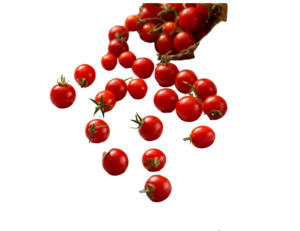 Edibles: Ramitode de dulce Currant Tomato (10 seeds)
