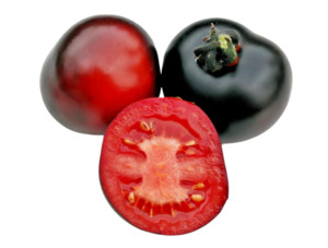 Indigo Rose Tomato (10 seeds)
