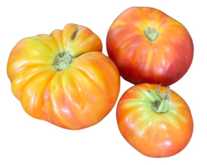 Oaxacan Jewel Tomato (10 seeds)