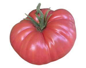 Edibles: Mexico Pink Tomato (10 seeds)
