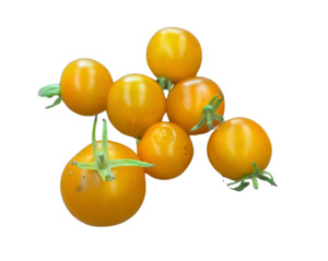 Edibles: Tangerine Tomato (10 seeds)
