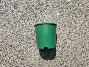 Equipment Tools Supplies: 10cm Pot 0.75L