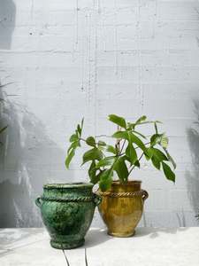 Ceramic Planters: Moroccan Tamegroute Planter