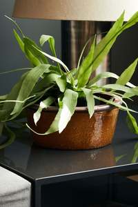 Ceramic Planters: Whai Planter