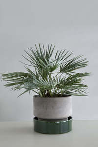 Ceramic Planters: The Hoff Saucer