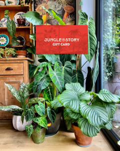 Jungle Story: Jungle Story Gift Card