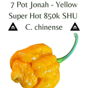 Seeds: 7 Pot Jonah - Yellow Chilli Seeds (10 seeds)