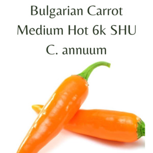 Seeds: Bulgarian Carrot Chilli Seeds (10 seeds)
