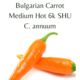 Bulgarian Carrot Chilli Seeds (10 seeds)