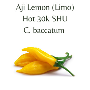 Aji Lemon Chilli Seeds (10 seeds)