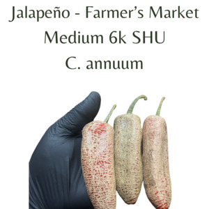 Seeds: Jalapeño - Farmers Market Chilli Seeds (10 seeds)
