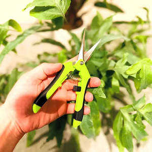 The Foliage Studio: Pruning Scissors