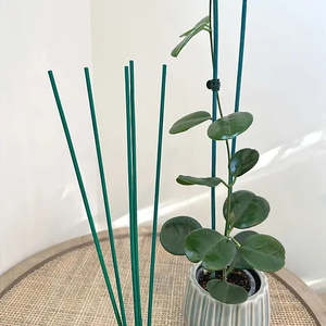 Bamboo Plant Stake