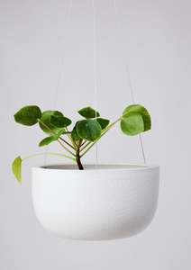 Angus Celeste: Glazed Earth Hanging Planter
