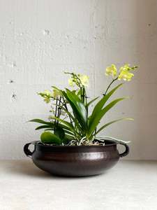 Cc Interiors: Marbella Bowl