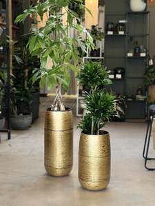 Cc Interiors: Luggate Urn
