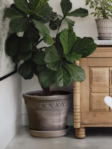 Bergs Potters: 'Københavner' Pot & Saucer