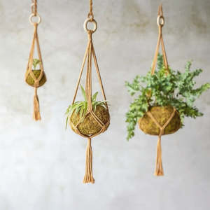 Homewares: Macramé Plant Hanger