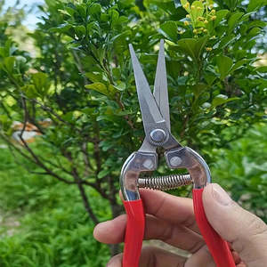 Equipment Tools Supplies: Stainless Steel Garden Snips – Bright, Handy, and Nursery-Tested