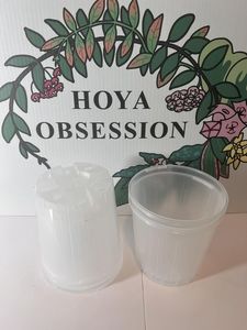Bargain Deals on Clear Plastic Pots