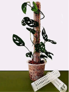 Equipment Tools Supplies: Plant Poles, Plastic
