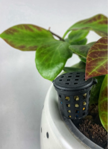 Fertiliser Cups