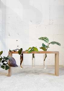 Test Tube Stand
