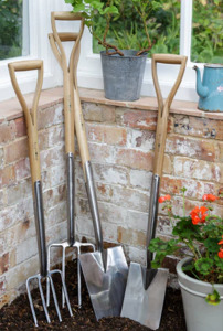 Stainless border spade