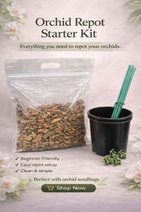 Orchid Repot Starter Kit