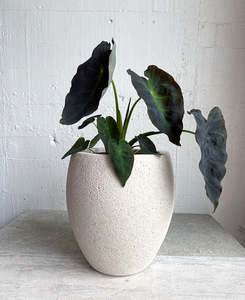 Amarillo Planter