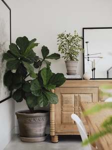 Pots Planters: Københavner Large