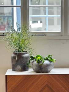 Echo Pot