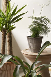 Atlas planter