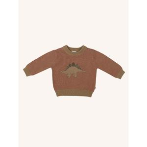 Clothing Toddler Jumpers Sweats: Fleur Harris Stegosaurus Knit Jumper (Cedar)